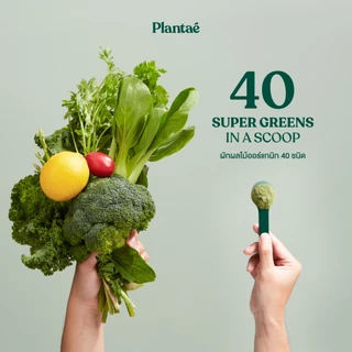 Plantae Whole Food Complex Powder : Complete Green แบบกล่อง 10 ซอง ผงผักและผลไม้ ไฟเบอร์ สลัด กินง่าย ไม่เหม็นเขียว