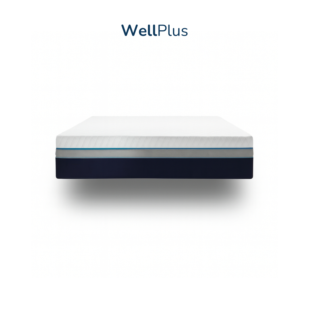 WellPlus ที่นอนยางพา
