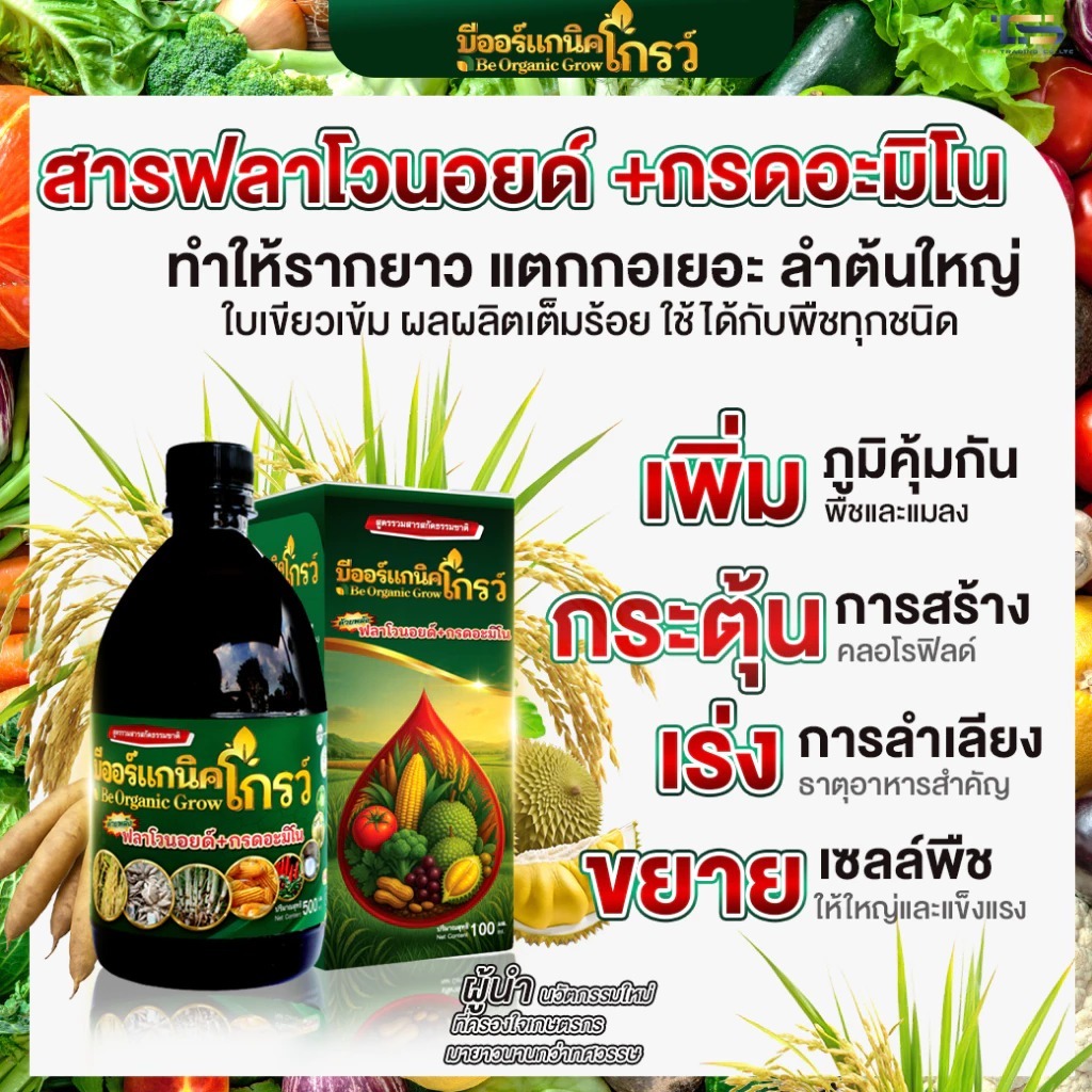 B-Organic Grow 100 ซีซี ใหม่❗ส่งฟรี สูตรกรีนการ์เดียน เร่งโต ป้องกันโรคแมลง