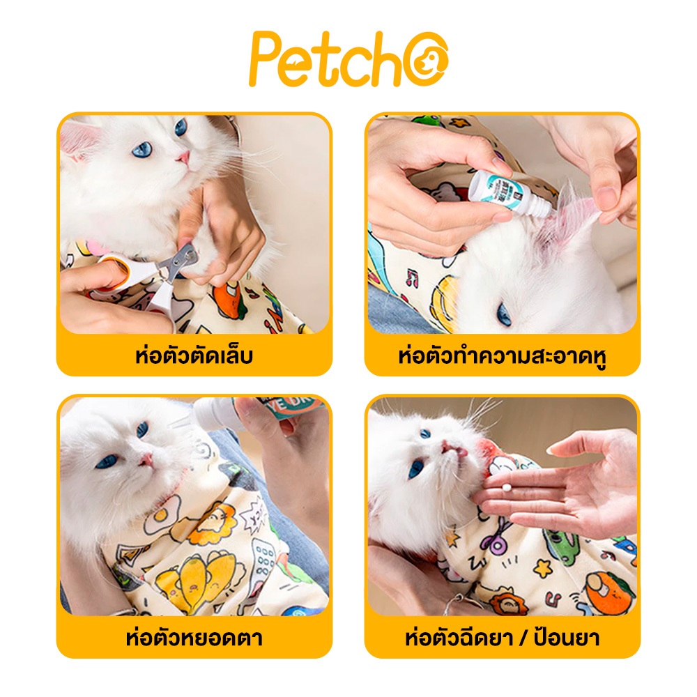 รูปภาพ 2