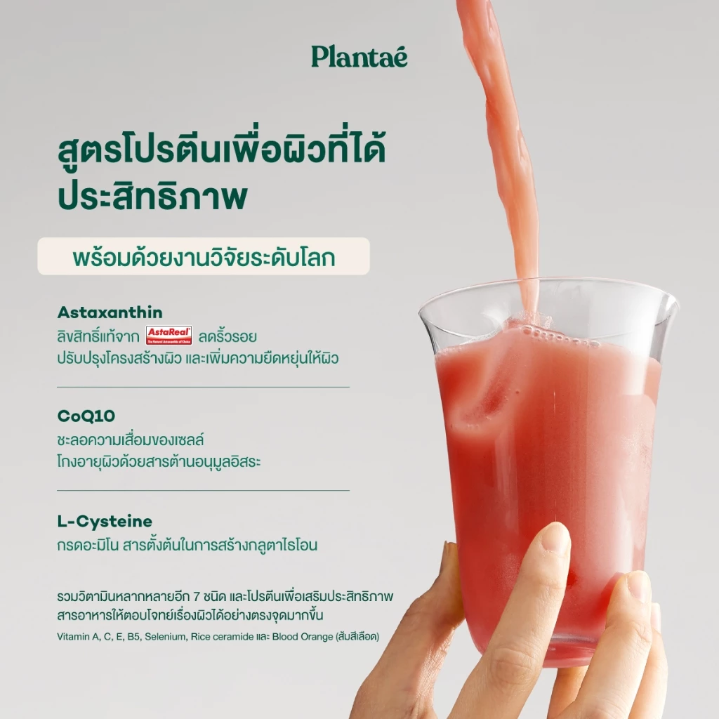 Plantae Glow Essentials กระปุก โปรตีนพืช อาหารผิว Astaxanthin แอสต้าแซนธิน CoQ10 Collagen โปรตีนจากพืช plant based thumbnail 5