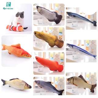 Pet Record ตุ๊กตาแคทนิป ปลาแคทนิป ของเล่นแมว แคทนิป 20CM ดิ้นไม่ได้
