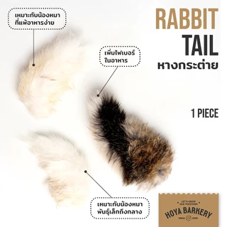 สินค้ากระต่าย หู ขา หาง rabbit ears, feet, tail หูวัวแผ่น cow ear chips ขนมน้องหมา Hoya Barkery