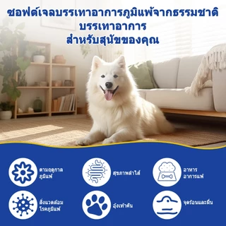 Popoo แพ็คสุดคุ้ม 2สูตร Probiotics สุนัข และ Allergy & Immune for Dogs ขนมสุนัข ช่วยระบบทางเดินอาหารและเสริมภูมิคุ้มกัน