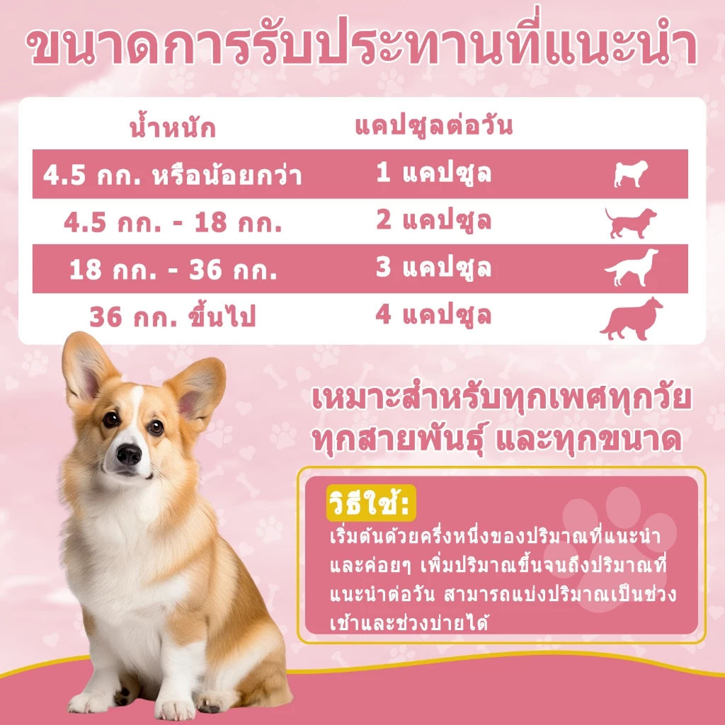 Popoo น้ำมันปลาสุนัข โอเมก้า3 Fish Oil for Dogs วิตามินหมาบำรุงเส้นขนและผิวหนัง เสริมสร้างภูมิคุ้มกัน 120 แคปซูล thumbnail 8