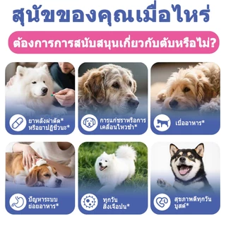 Popoo Liver Health Support for Dogs การทำงานของตับ ภูมิคุ้มกัน สุขภาพระบบย่อยอาหาร ขนมสุนัข อาหารสุนัข 120 แคปซูล