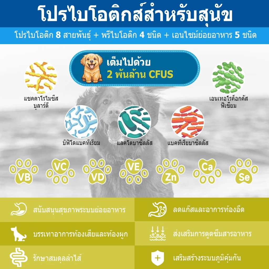 Popoo Multivitamins for Dogs วิตามินหมา อาหารสุนัข บำรุงสะโพกและข้อ ผิวหนังและขน การทำงานของลำไส้ ขนมสุนัข 120 แคปซูล thumbnail 6