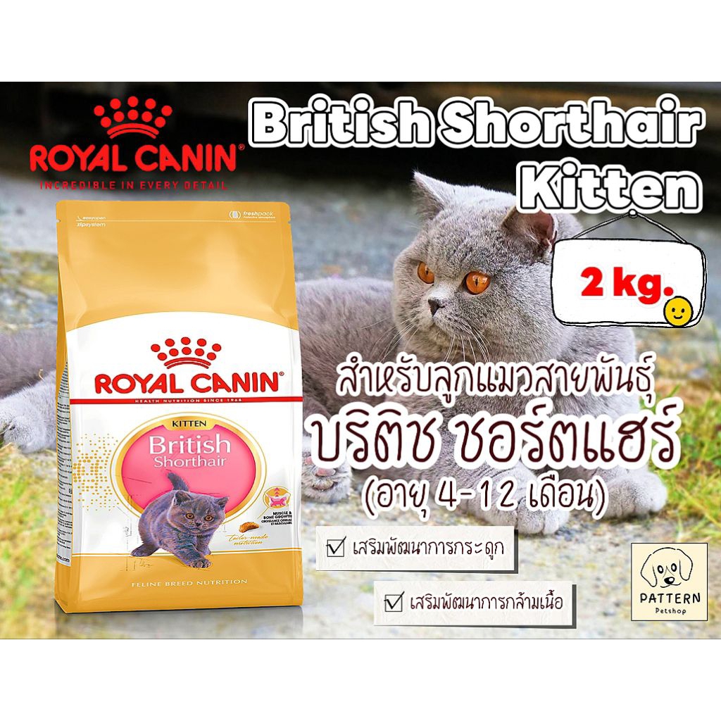 Royal Canin British Shorthair Kitten 2 kg. อาหารชนิดเม็ดสำหรับลูกแมวพันธุ์บริติช ชอร์ตแฮร์ อายุ 4-12 เดือน