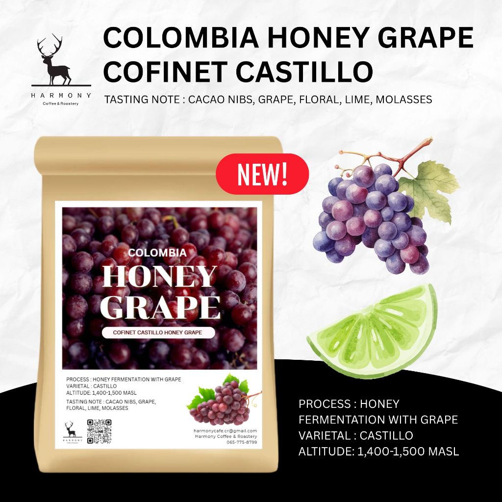 Colombia Honey grape | Cofinet Castillo| กลิ่นรสองุ่น 100g :Harmony coffee
