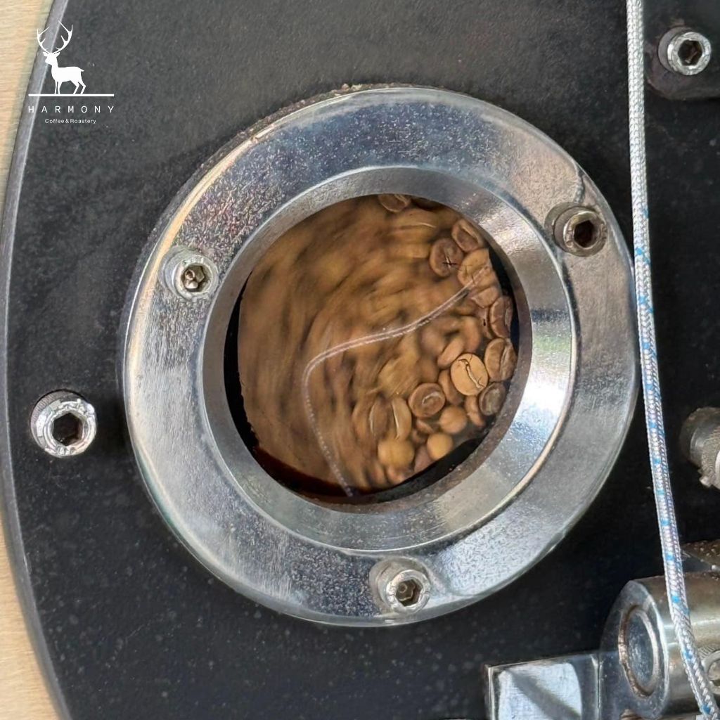 Colombia Honey grape | Cofinet Castillo| กลิ่นรสองุ่น 100g :Harmony coffee - รูปที่ 5