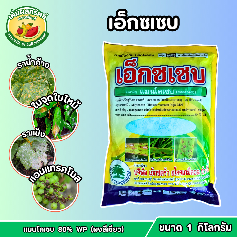 เอ็กซเซบ (แมนโคเซบ 80% WP ผงสีเขียว) ขนาด 1 กิโลกรัม ป้องกันกำจัดโรคพืช โรคใบจุดใบไหม้ ราแป้ง ราดำ แอนแทรคโนส