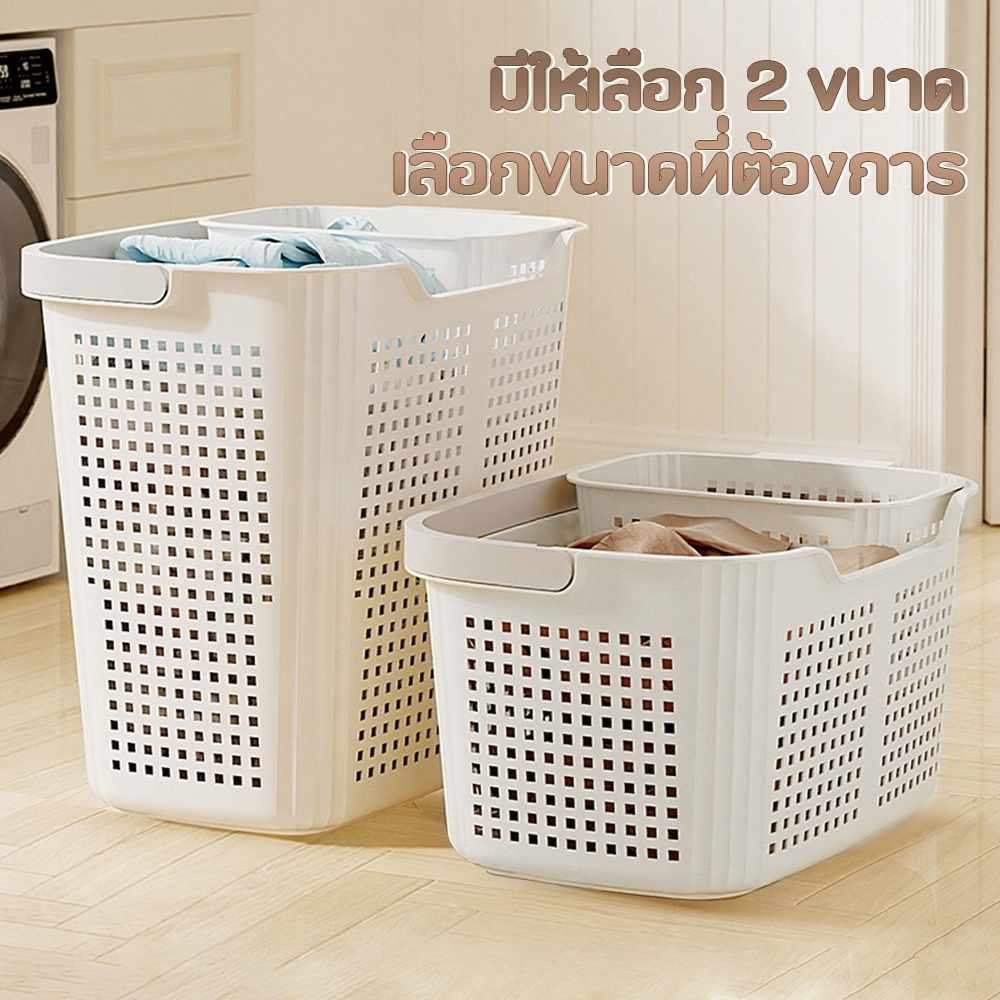 รูปภาพ 3