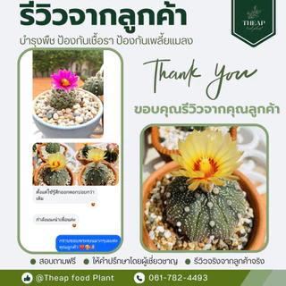 โปรโมชั่นแพ็คคู่สู้ฝน (สูตรบำรุงและสูตรป้องกันเชื้อรา) THEAP