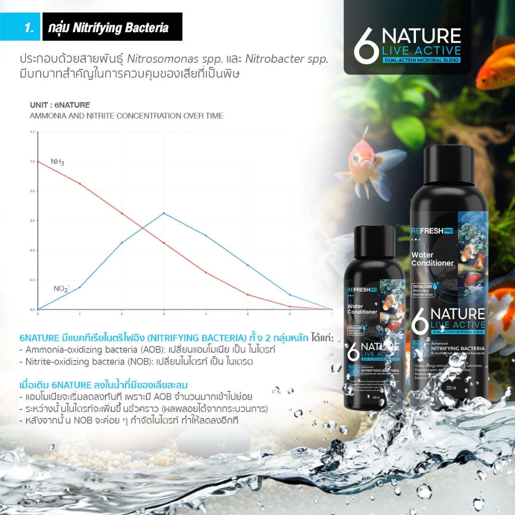 6NATURE LIVE ACTIVE จุลินทรีย์ปรับสภาพน้ำ สำหรับตู้ปลาและบ่อเลี้ยงสัตว์น้ำ thumbnail 5