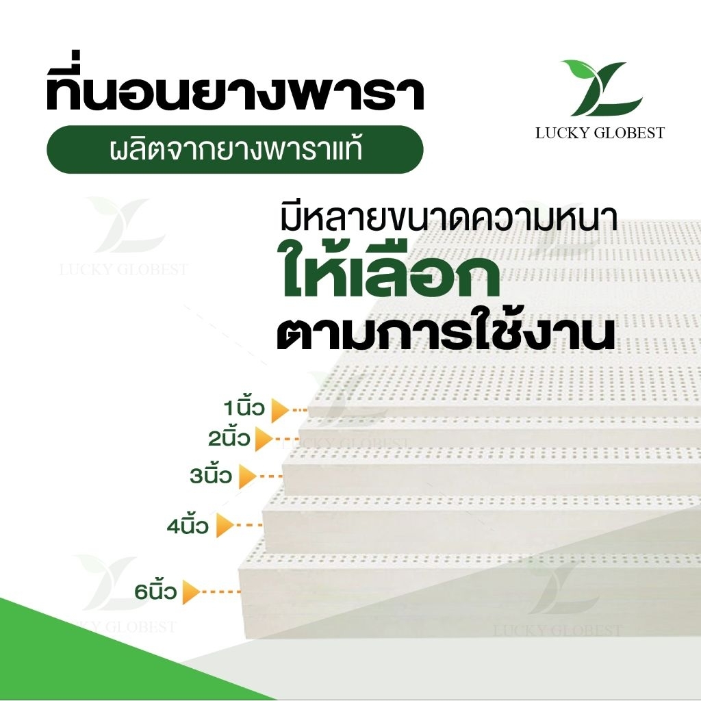 Lucky Globest ที่นอน