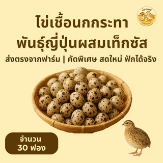 ไข่เชื้อนกกระทา 30 ฟอง สดใหม่ทุกวัน นำไปฟักในตู้ฟักไข่ ชุดทดลอง