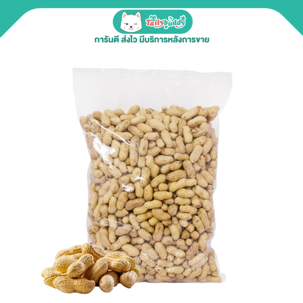 ถั่วลิสง อาหารว่างสำหรับนก หนู (1kg)