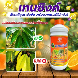 เทนซิงค์ สังกะสีสูตรเข้มข้น 10%+กำมะถัน 5% ขนาด 1ลิตร ทนต่อทุกสภาพอากาศ เร่งการเเตกยอด เเตกใบ แก้อาการใบเหลือง