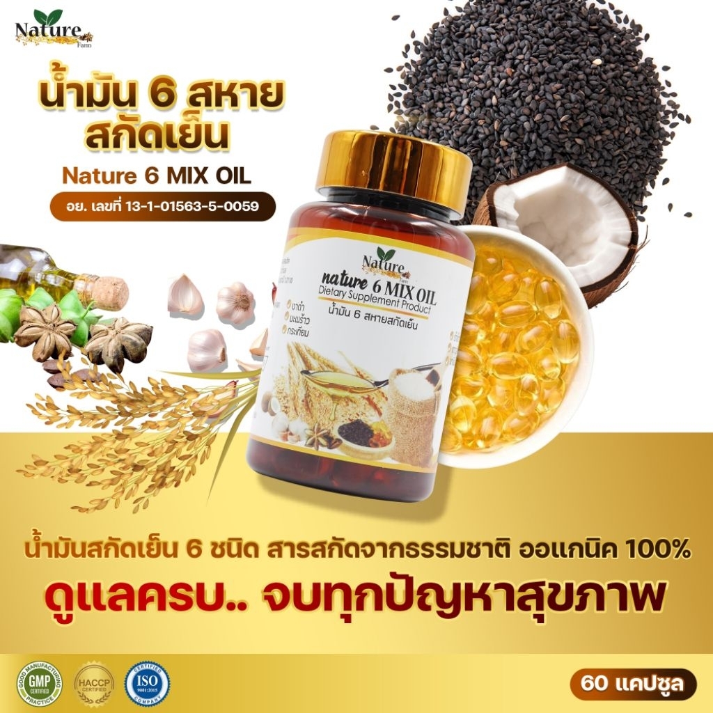 🌈น้ำมัน 6 สหายสกัดเย็น 🌴Nature 6 MIX OIL 60 แคปซูล 500 มก. แท้💯