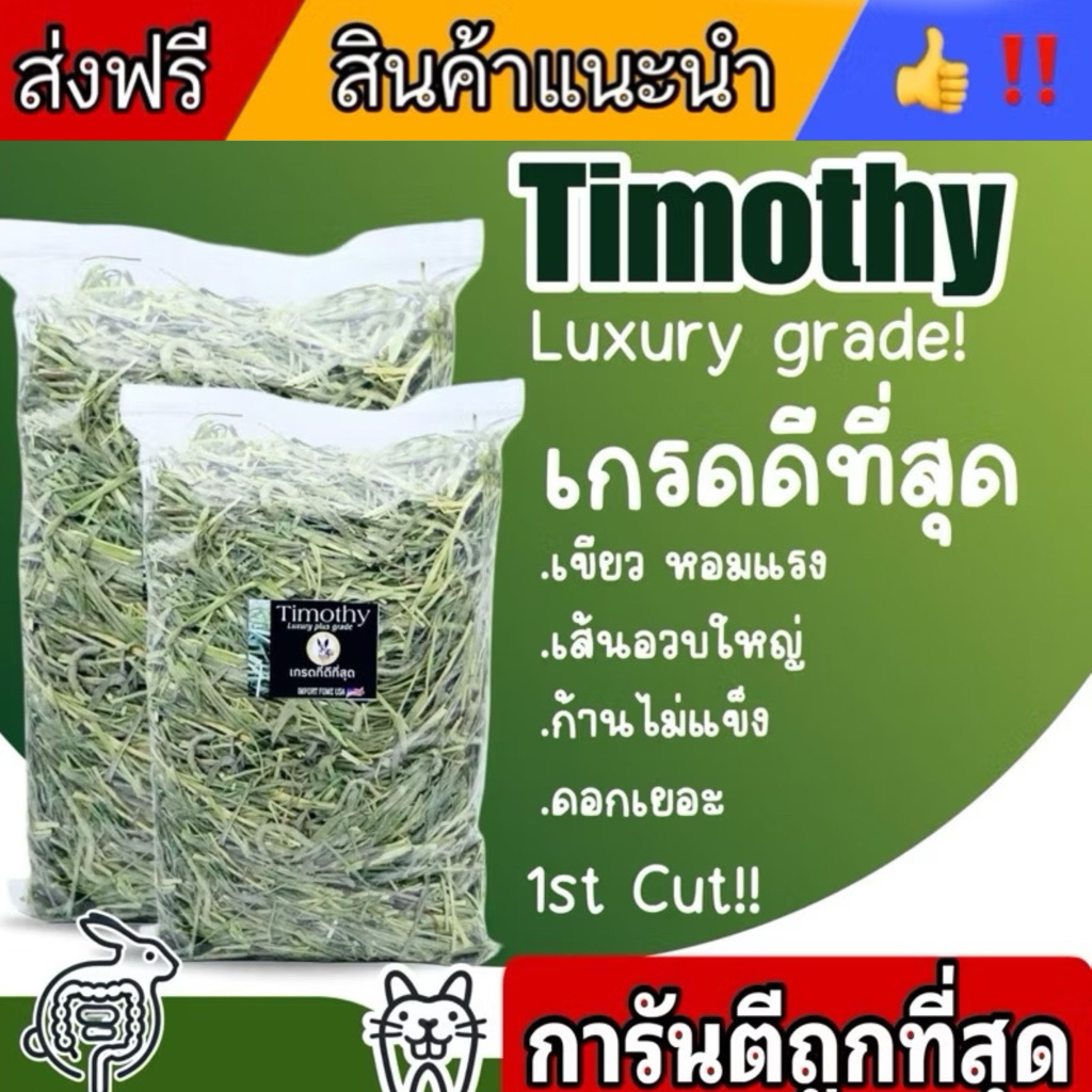 ทิมโมธี อเมริกา เส้นอ่อน ใบเยอะ 1กก