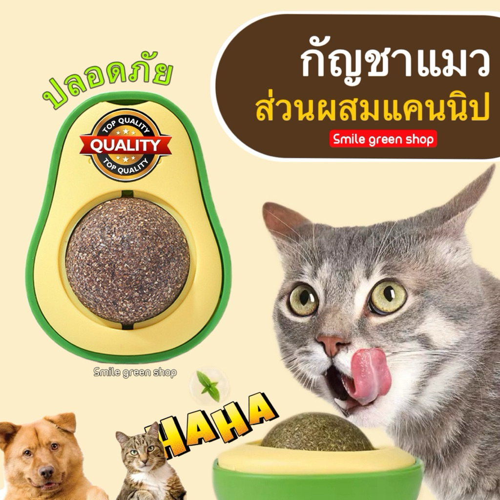 กัญชาแมว Catnip Ball ลูกกลมแคนดี้สำหรับแมว หญ้าแมว ของเล่นแมว ปลอดภัย ช่วยผ่อนคลาย ลดความเครียด