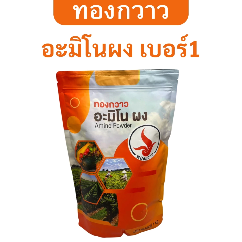 อะมิโนผง เบอร์1 กลิ่นเค็ม ตรา ทองกวาว ละลายน้ำได้ สกัดเข้มข้น