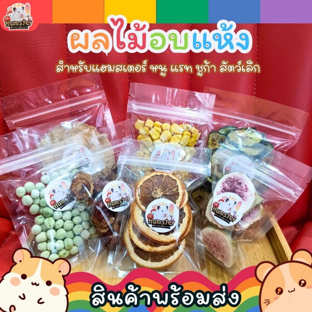 ผลไม้อบแห้งสำหรับสัตว์เล็ก ส้มแมนดาริน แอปเปิ้ล ลูกฟิก ข้าวโพด สำหรับ แฮมสเตอร์ กระต่าย ชินชิลล่า แกสบี้ แดกู