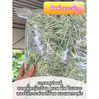 ถุกม๊ากกกกก หญ้าสวยมากค่ะ แนะนำลัคชู‼️ ทิมโมธี เกรดลัคชูรี่ร่อนฝุ่น1กก