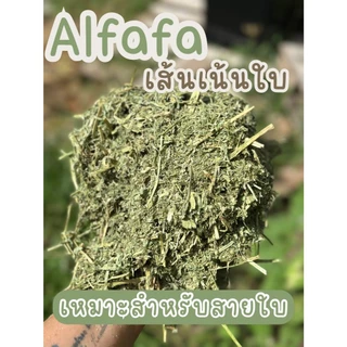 อัลฟ่าสับร่อนฝุ่น ออสเตรเลีย 1 กก