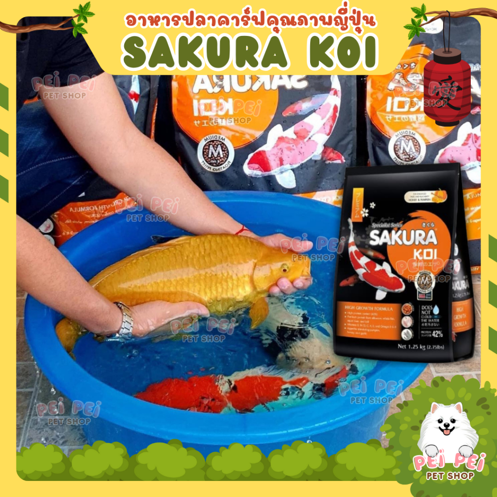 เร่งโต EXP.2028 อาหารปลาคาร์ฟ Sakura Koi (ซากุระ โค่ย) สูตรเร่งโต ขนาด 1.25 กก.
