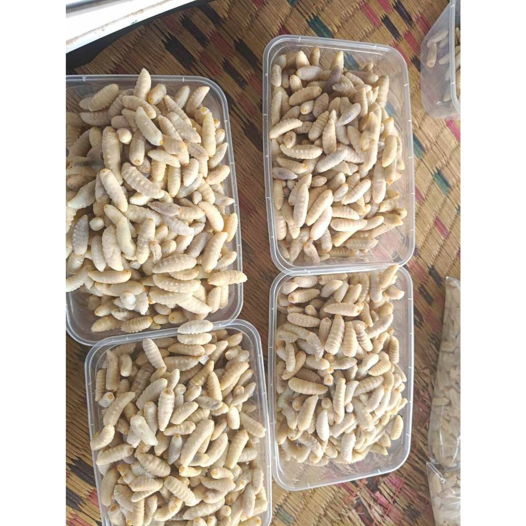 ต่อหัวเสือตัวใหญ่ๆ ของธรรมชาติชาวบ้านหาเอง (ส่งรถแช่เย็น)