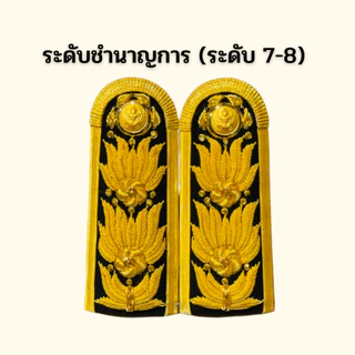 ⭐️อินทรธนูข้าราชการ บ่าชุดขาวปกติ ราคาถูก⭐️