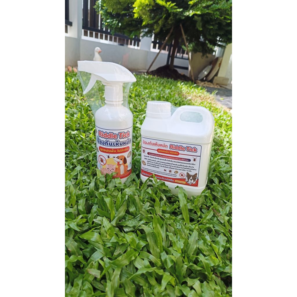 สเปรย์พ่นป้องกันเห็บหมัด 500ml. Riddle Tick  สูตรพ่นพื้น-ผนังจากสารสกัดธรรมชาติ ตัดวงจรการแพร่ระบาด ราคา ถูกที่สุด ดีลบีเคเค แกลเลอรีภาพที่ 3