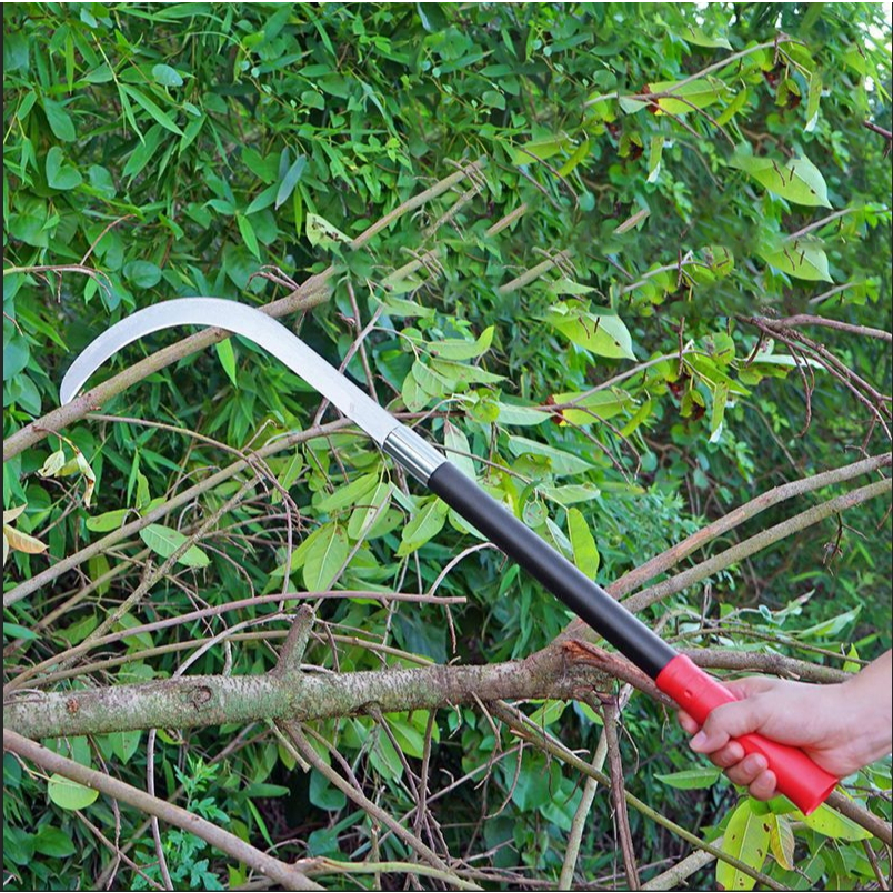 คมกริบ เหล็กแมงกานิส มีดพร้า SK5 มีดขอชัก มีดขอชักกล้วย ตัดแต่งใบกล้วย มีดตัดกล้วย มีดทำสวน มีดตัดแต่งกิ่งไม้ ด้ามยาว - รูปที่ 4