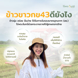 ข้าวขาวกข43 5Kg คัดพิเศษ ปลอดสาร ไม่ใช้สารกันมอด แบรนด์ไร่พระจันทร์ ข้าวกข43 กข43 RD43 ข้าวขาว ข้าว