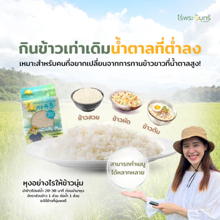 ข้าวขาวกข43 5Kg คัดพิเศษ ปลอดสาร ไม่ใช้สารกันมอด แบรนด์ไร่พระจันทร์ ข้าวกข43 กข43 RD43 ข้าวขาว ข้าว