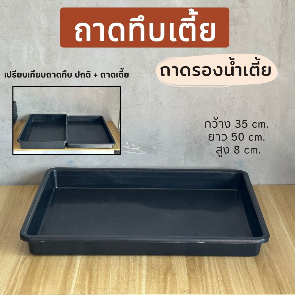 ถาดรองน้ำ ถาดไดโซะทึบเตี้ย ถาดเตี้ย ถาดไดโซะไม่มีรู ถาดเพาะต้นกล้า