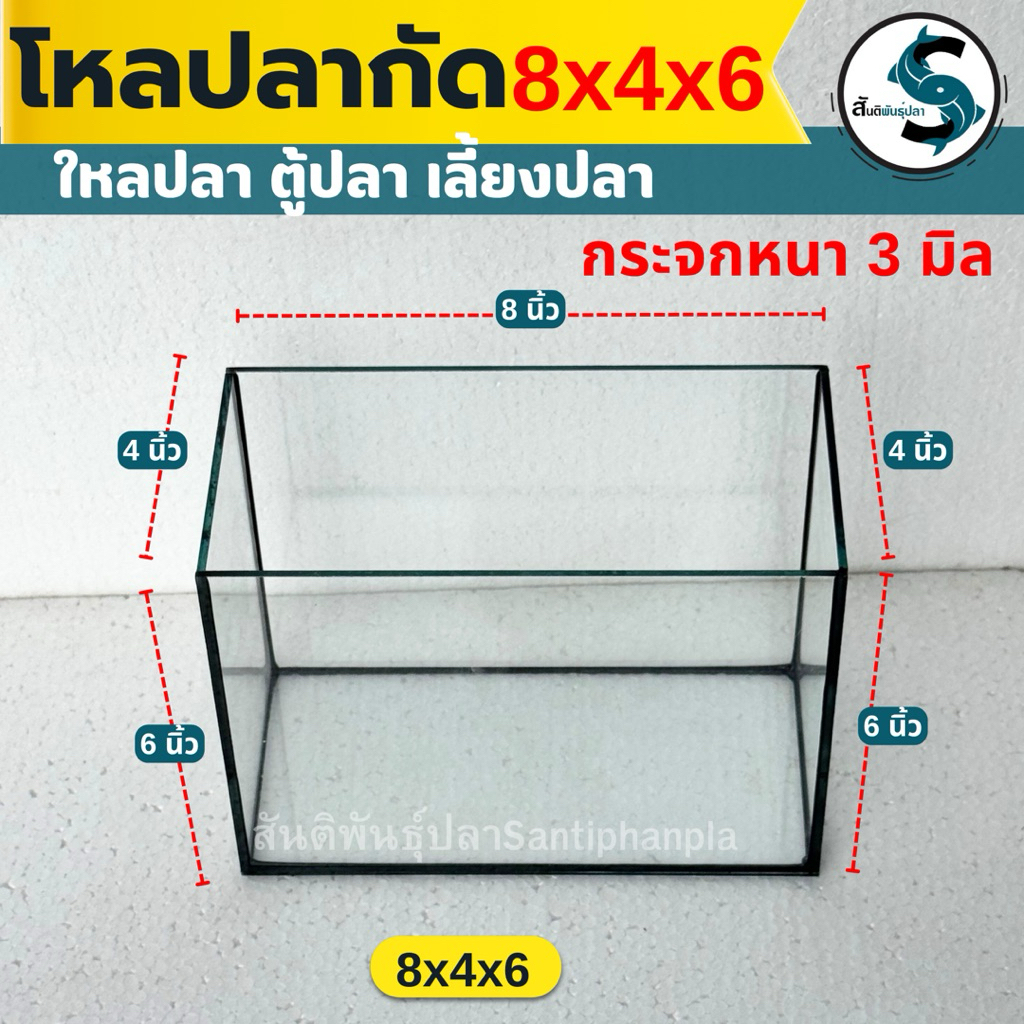 โหลปลากัด 8x4x6นิ้ว กระจกหนา 3 มิลลิเมตร เหลี่ยมปลากัด โหลปลา ตุ้ปลากัด ตู้ปลา (1ใบ)