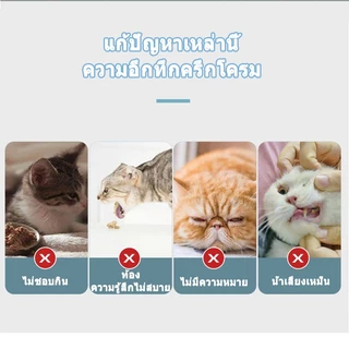 กัญชาแมว แคทนิปบอล ติดกำแพง ไม่กลิ้งหาย หญ้าแมว กันชาแมว กัญชาเเมว แคทนิปแมว catnip ball กันชาแมวส่งฟรี กัชชาแม กันชาแมว