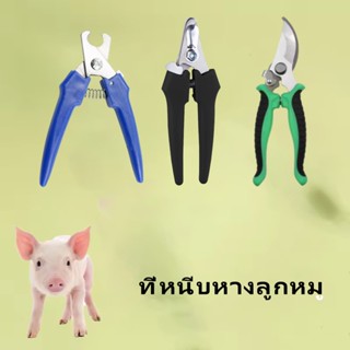 คีมตัดหางลูกหมู กรรไกรตัดหางหมู คีมตัดหางลูกสุกรสแตนเลส อุปก…