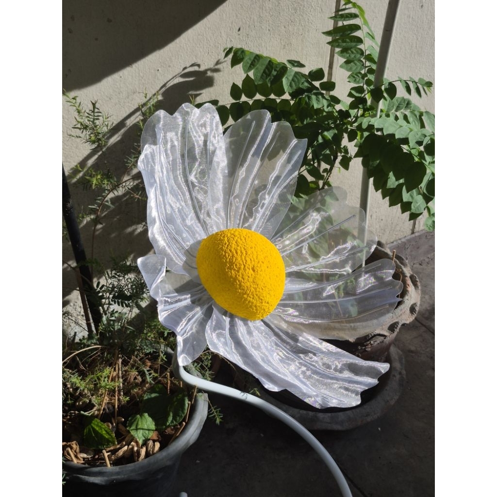 [พร้อมส่ง] เดซี่ยักษ์ ขนาด 50 cm. ผ้าแก้ว