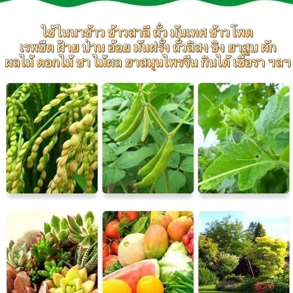 สารประกอบไนโตรเจน โซเดียมไนโตรฟีนอล ผงดั้งเดิม 98% ตัวแทนการฟื้นคืนชีพของเซลล์ ปุ๋ยการเจริญเติบโตของพืช ปุ๋ยทา(20KG) - รูปที่ 2