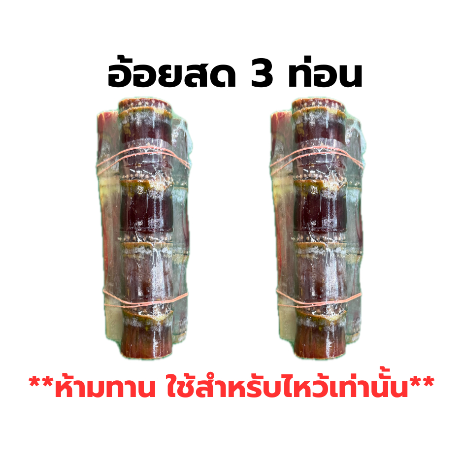 อ้อยสด 3 ท่อน สำหรับถวายพระพิฆเนศ