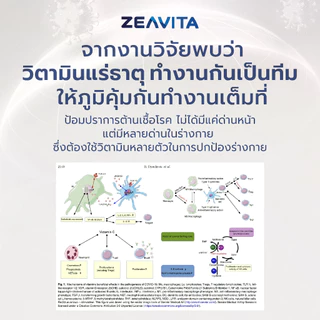 Zeavita ซีวิต้า วิตามิน C + D3 + Zinc ฝุ่น ภูมิแพ้ ภูมิคุ้มกัน (100เม็ดx1กล่อง) อาหารเสริม วิตามินดี3 VitaminC