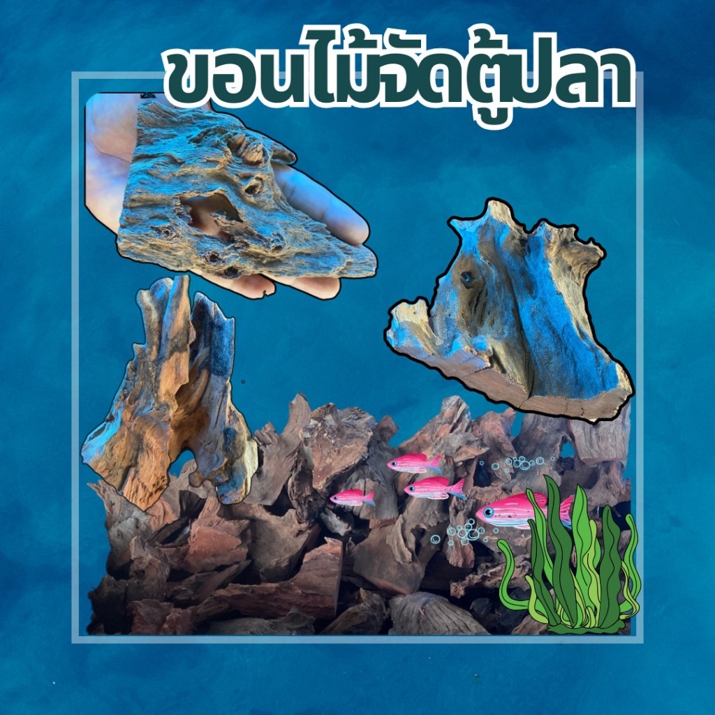 ตอไม้ ไม้ธรรมชาติแต่งตู้ปลา ขนาดเล็ก     size SS Driftwood Aquarium     (คละแบบ)  1 ชิ้น