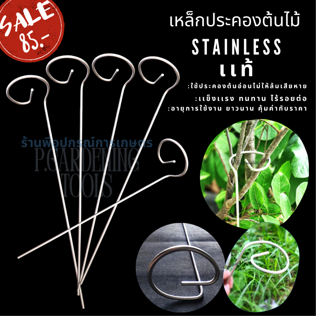 เหล็กค้ำต้นไม้สเตนเลส