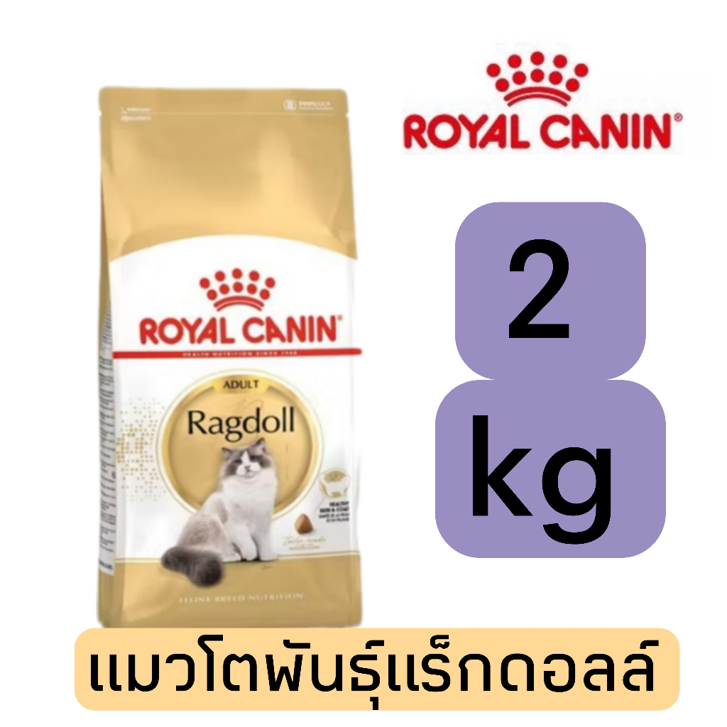 แมวพันธุ์ragdoll ถูกที่สุด พร้อมโปรโมชั่น ส.ค. 2026 | BigGoเช็คราคาง่ายๆ