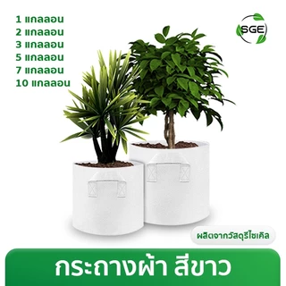 กระถางผ้า สีขาว กระถางผ้าปลูกต้นไม้ ถุงปลูกต้นไม้ กระถางต้นไม้ GBW Gallon ของแท้จาก SGE