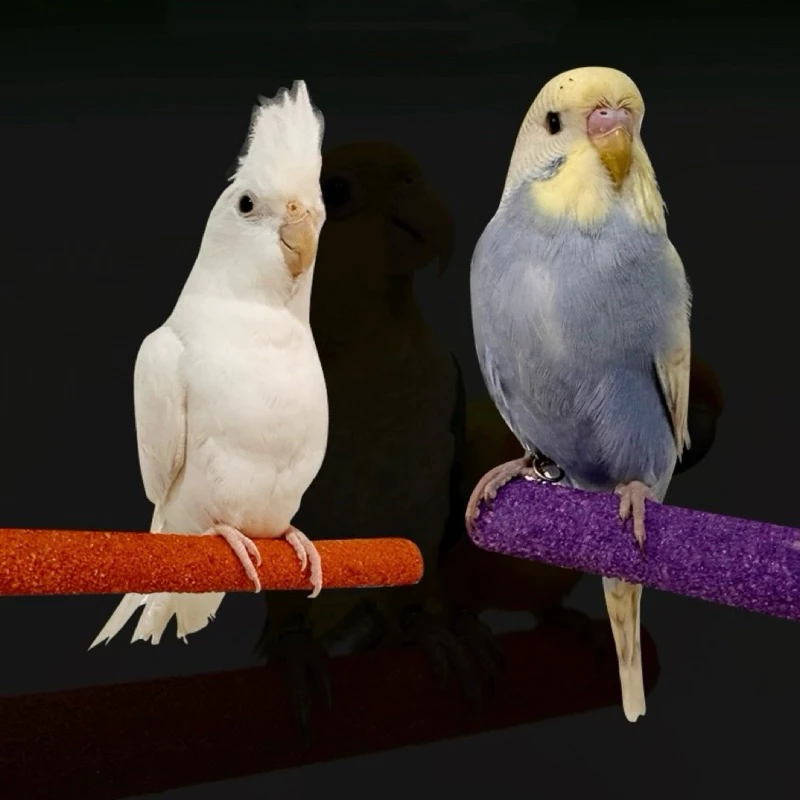 A-36 คอนลับเล็บ สำหรับนก คอนแบบติดกรง มีหลายสี หลายขนาด - รูปที่ 6