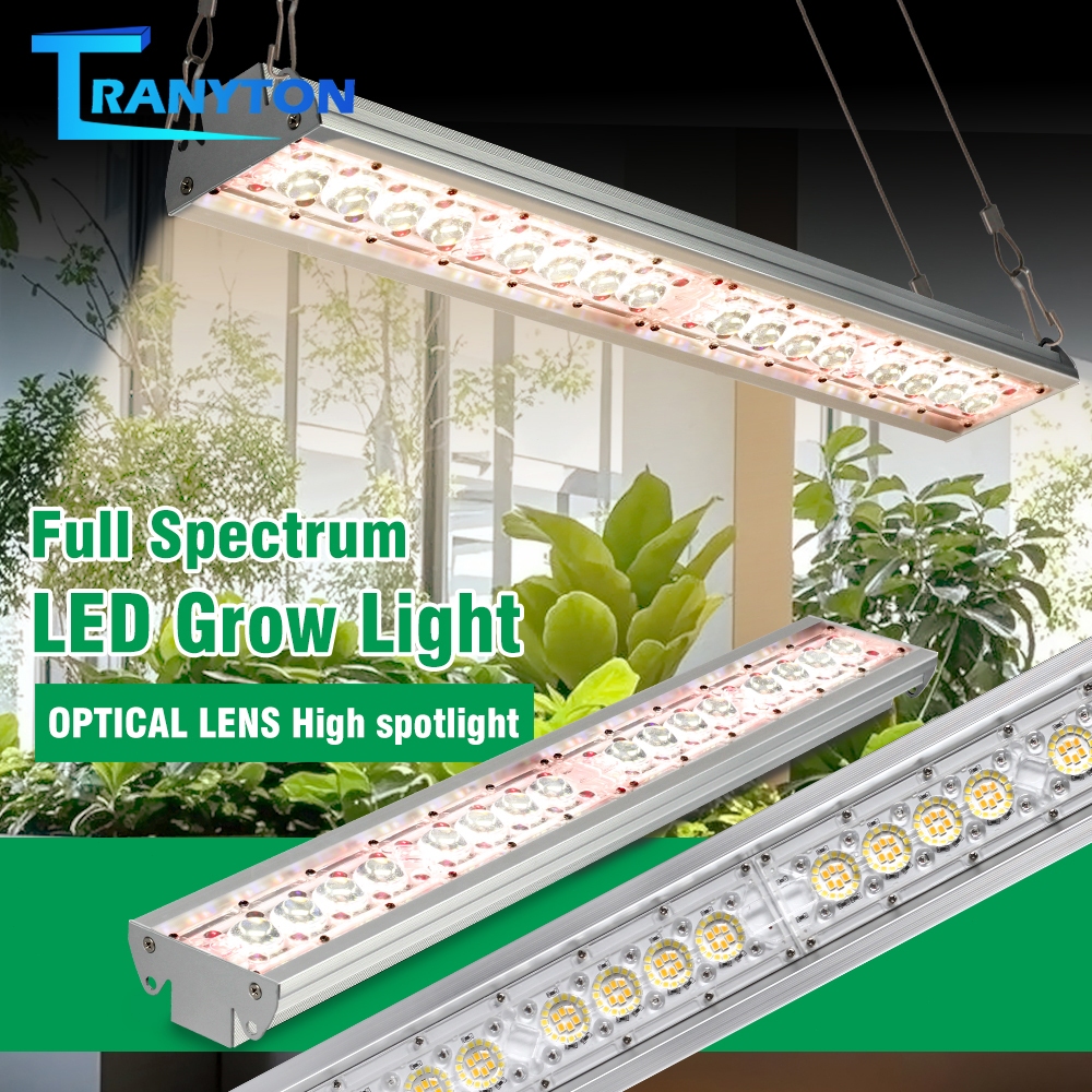 1600W LED Grow Light  full Spectrum พืชกันน้ำเต็มรูปแบบ Grow Light UV IR สำหรับไฟเมล็ดเรือนกระจกในร่ม
